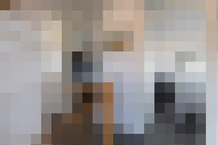Hertenlaan 22 Assen thumbnail 33