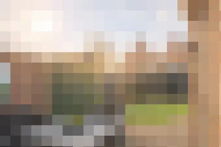 Hertenlaan 22 Assen thumbnail 43