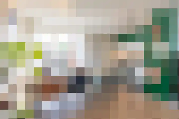 Hertenlaan 22 Waalre thumbnail 10