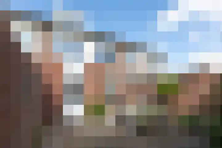Hertenlaan 22 Waalre thumbnail 28