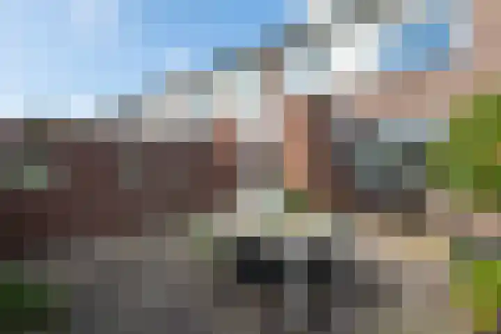 Hertenlaan 22 Waalre thumbnail 30