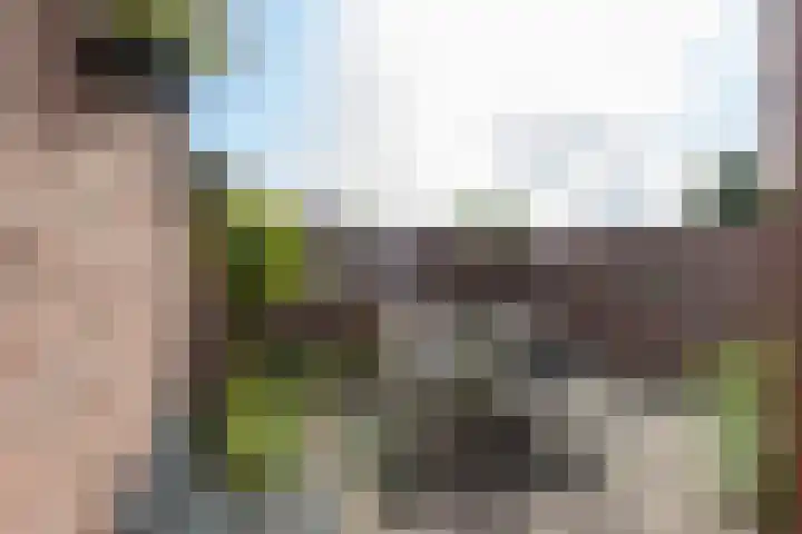 Hertenlaan 22 Waalre thumbnail 31
