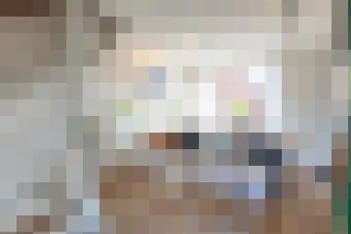 Hertenlaan 22 Waalre thumbnail 7