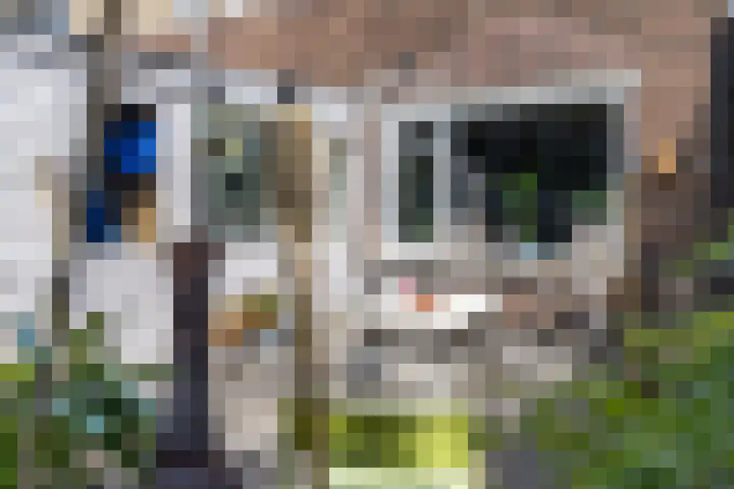 Hertenlaan 24 Arnhem thumbnail 10