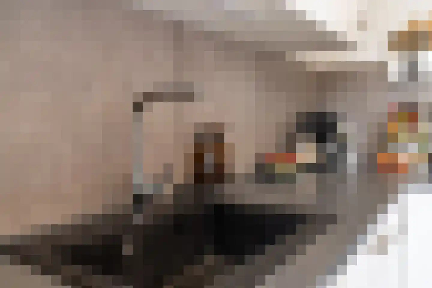 Hertenlaan 24 Arnhem thumbnail 13