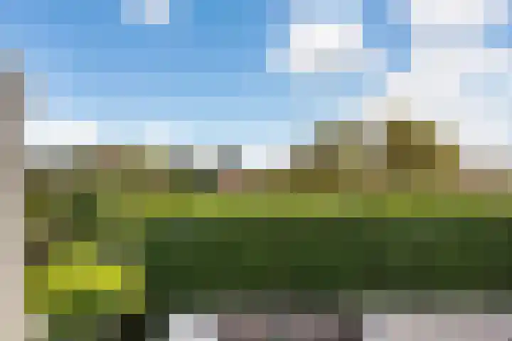 Hertenlaan 24 Arnhem thumbnail 14