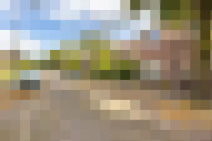Hertenlaan 24 Arnhem thumbnail 29