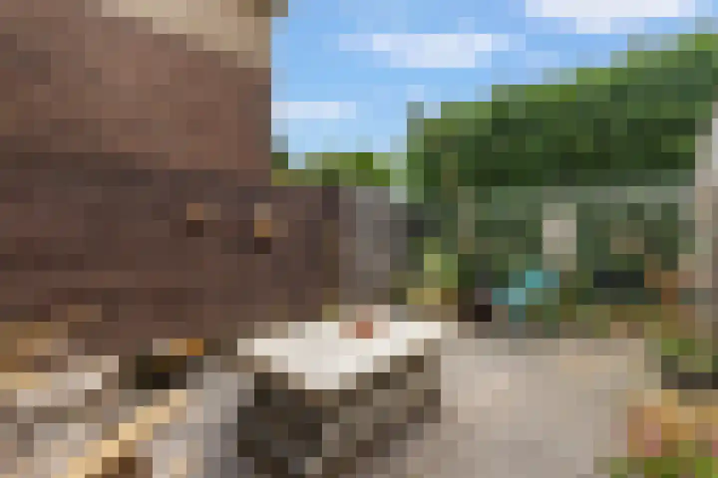 Hertenlaan 24 Arnhem thumbnail 4