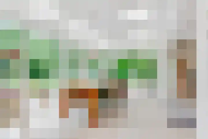 Hertenlaan 25 D Den Dolder thumbnail 12