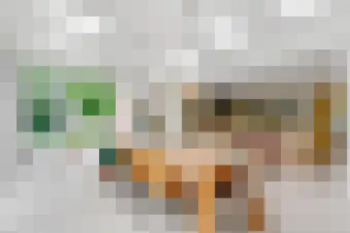 Hertenlaan 25 D Den Dolder thumbnail 14