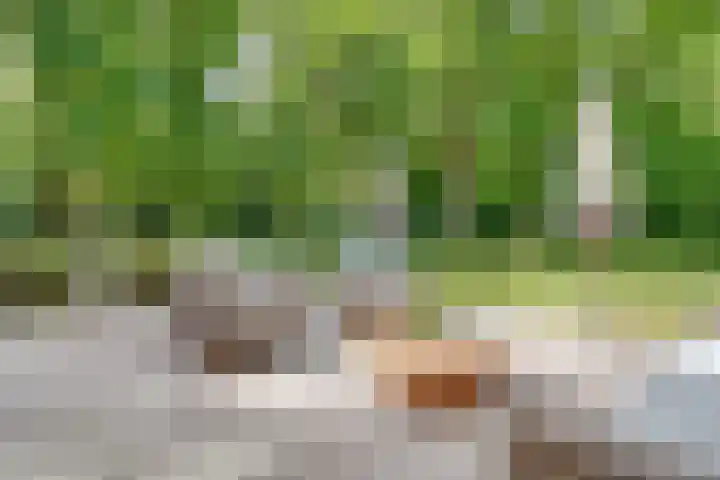 Hertenlaan 25 D Den Dolder thumbnail 17