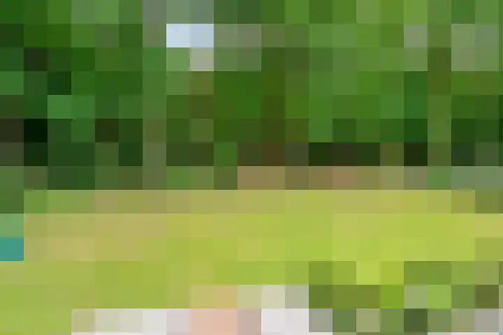 Hertenlaan 25 D Den Dolder thumbnail 31