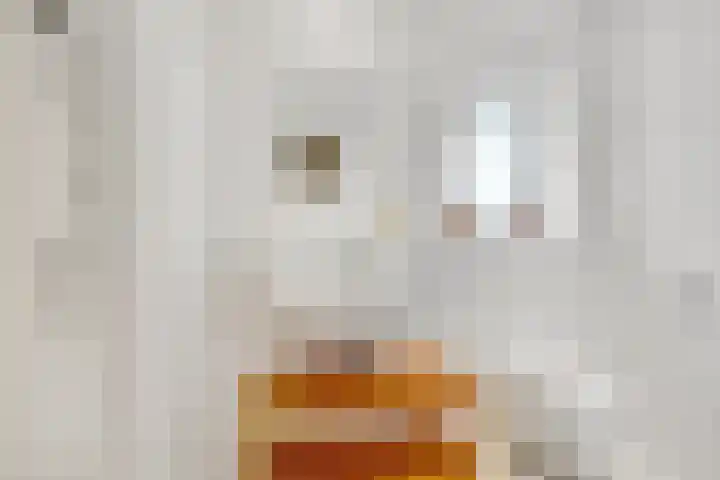 Hertenlaan 25 D Den Dolder thumbnail 35