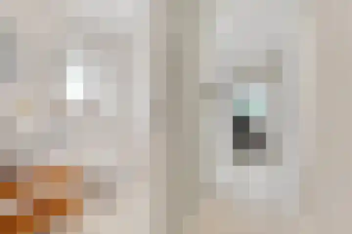Hertenlaan 25 D Den Dolder thumbnail 36