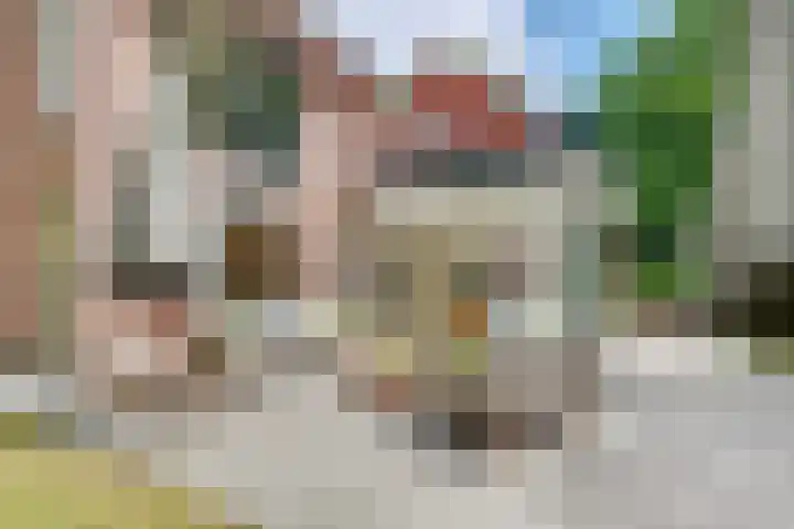 Hertenlaan 25 D Den Dolder thumbnail 41