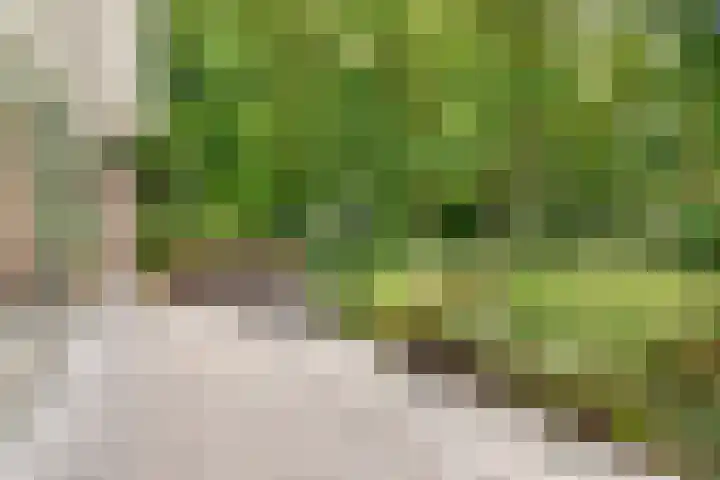 Hertenlaan 25 D Den Dolder thumbnail 42