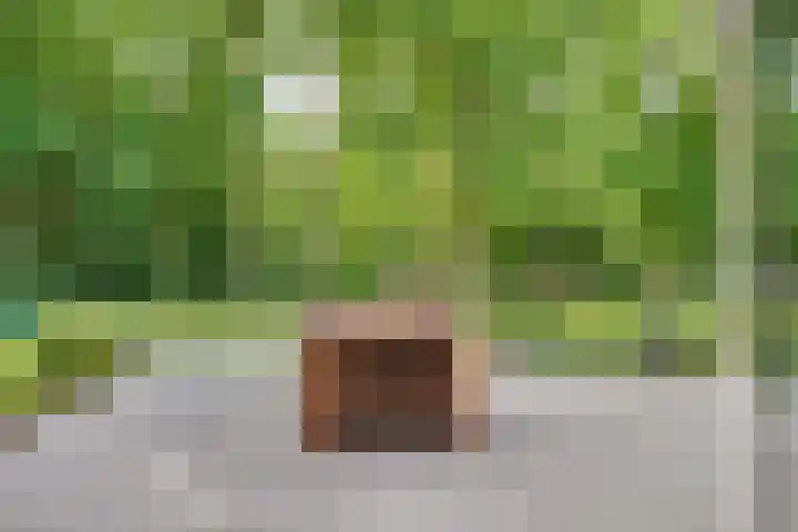 Hertenlaan 25 D Den Dolder thumbnail 43