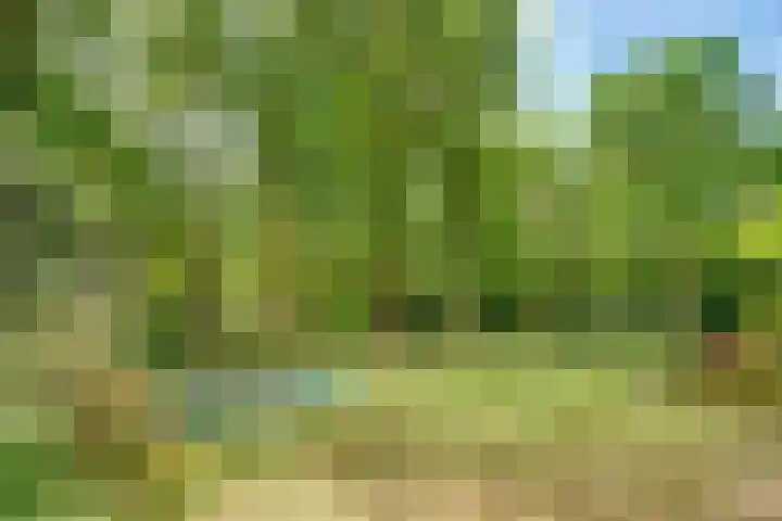 Hertenlaan 25 D Den Dolder thumbnail 44