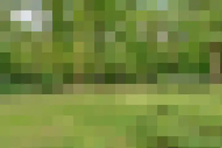 Hertenlaan 25 D Den Dolder thumbnail 45