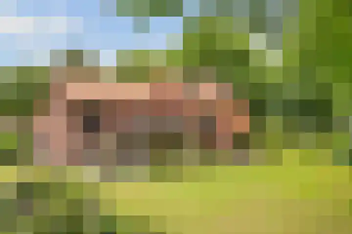 Hertenlaan 25 D Den Dolder thumbnail 47