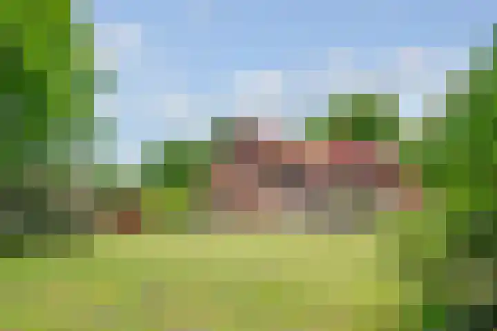 Hertenlaan 25 D Den Dolder thumbnail 48