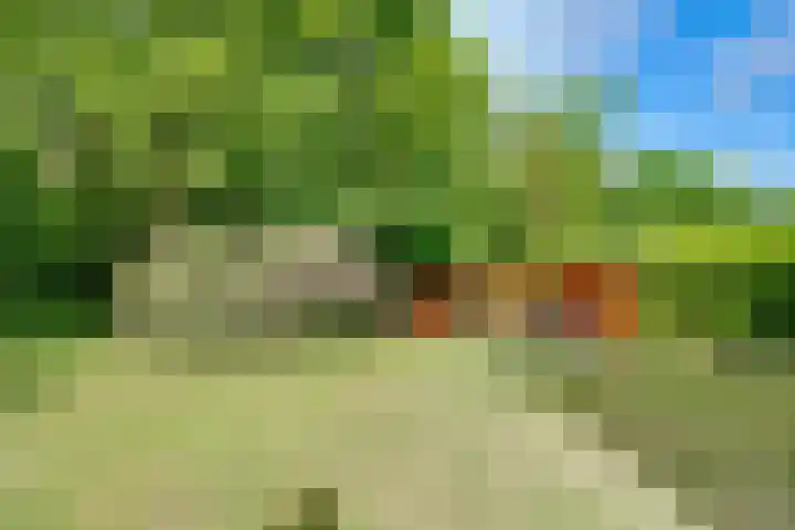 Hertenlaan 25 D Den Dolder thumbnail 49