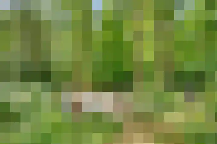 Hertenlaan 25 D Den Dolder thumbnail 51