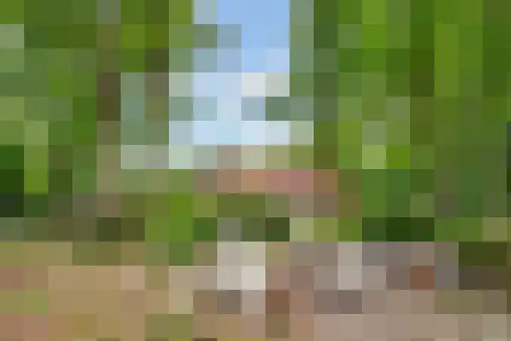 Hertenlaan 25 D Den Dolder thumbnail 52