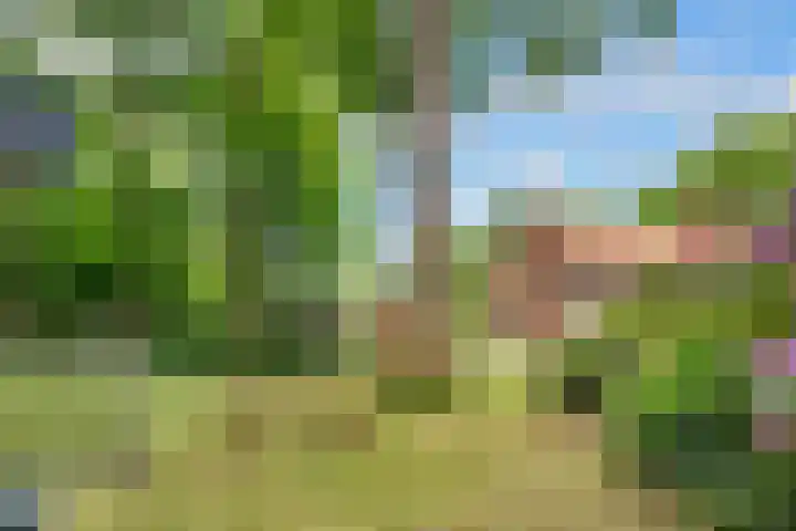 Hertenlaan 25 D Den Dolder thumbnail 53