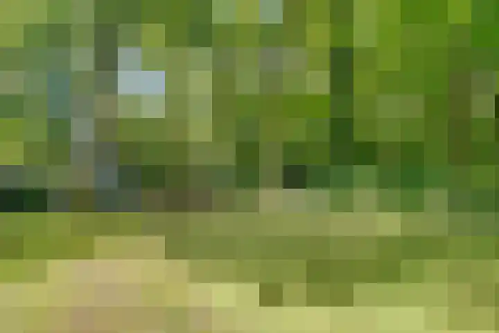 Hertenlaan 25 D Den Dolder thumbnail 54