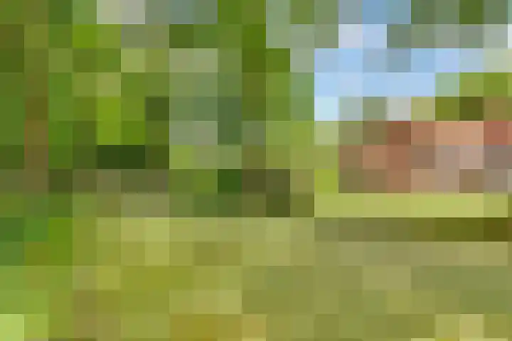Hertenlaan 25 D Den Dolder thumbnail 55