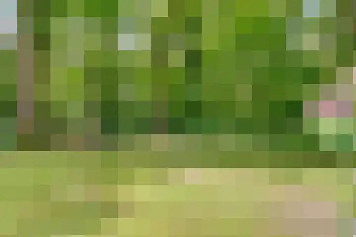 Hertenlaan 25 D Den Dolder thumbnail 56