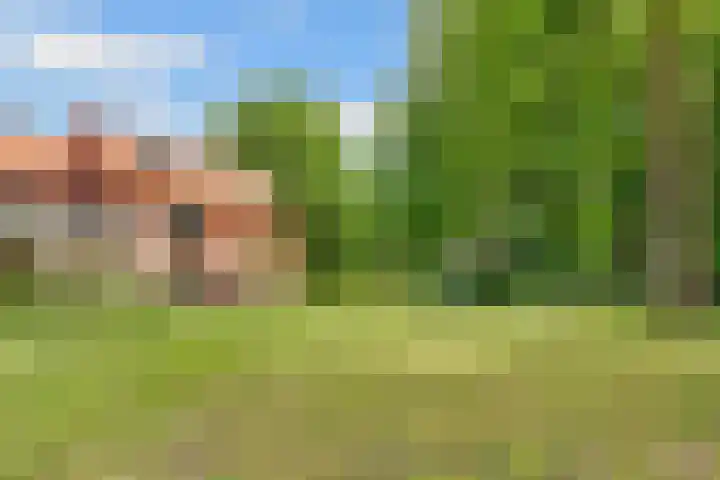 Hertenlaan 25 D Den Dolder thumbnail 57