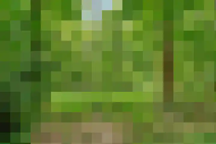 Hertenlaan 25 D Den Dolder thumbnail 58