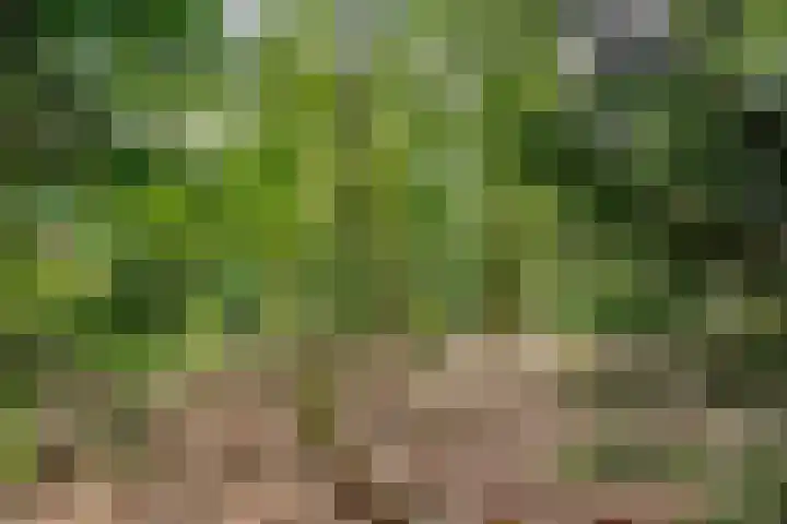 Hertenlaan 25 D Den Dolder thumbnail 59