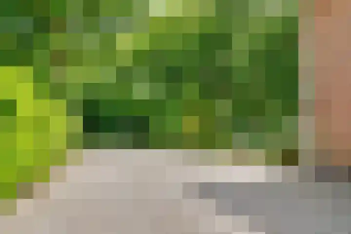 Hertenlaan 25 D Den Dolder thumbnail 60