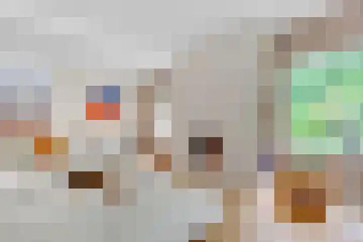 Hertenlaan 25 D Den Dolder thumbnail 9