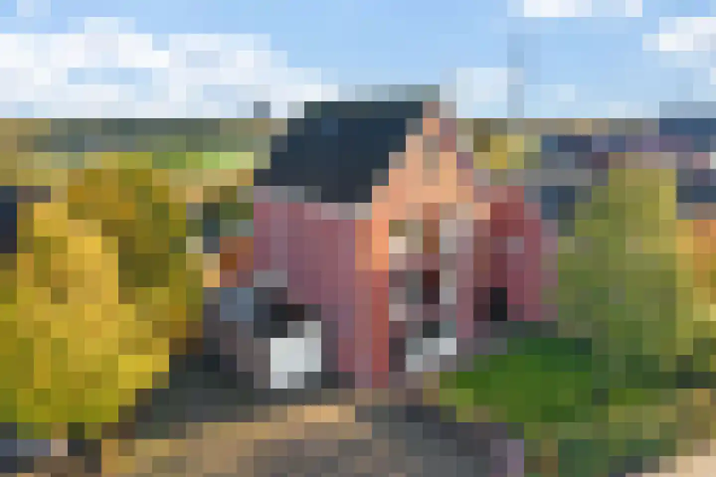 Hertenlaan 35 Assen thumbnail 55