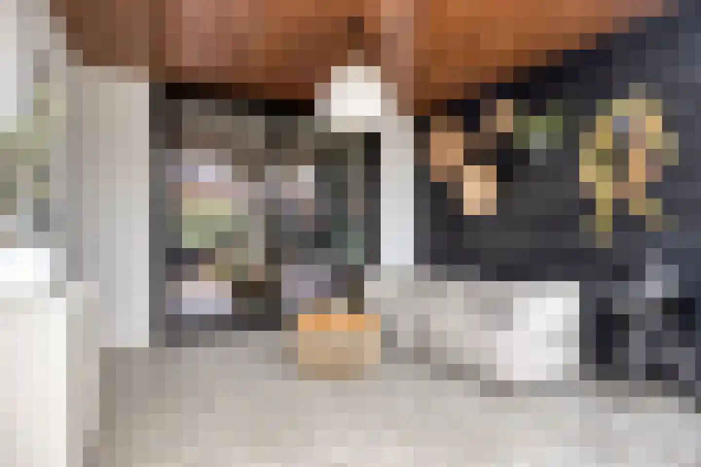Hertenlaan 39 Waalre thumbnail 30