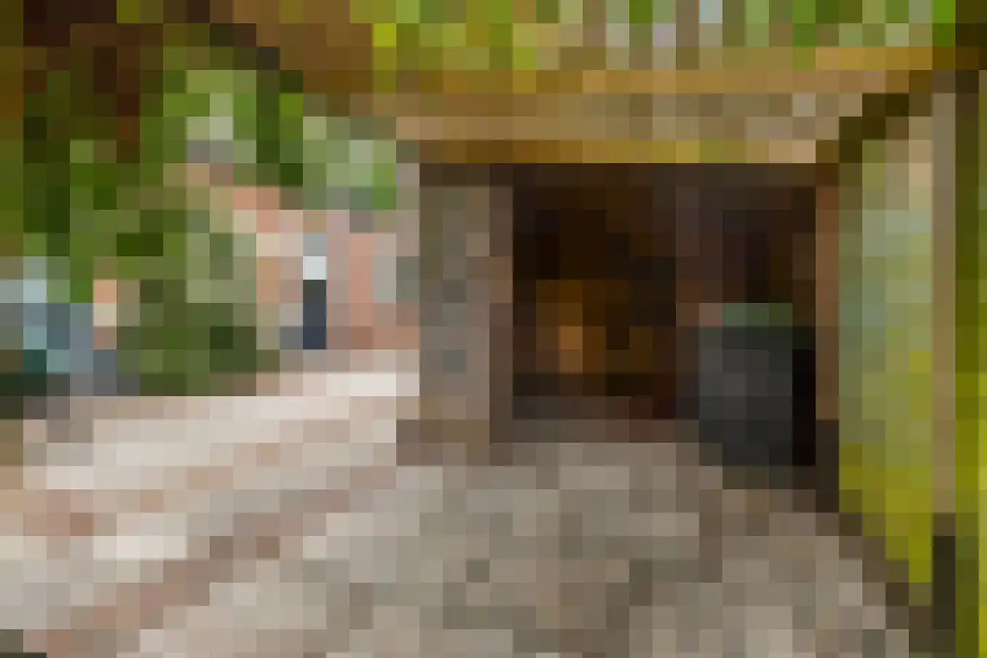 Hertenlaan 4 Apeldoorn thumbnail 17