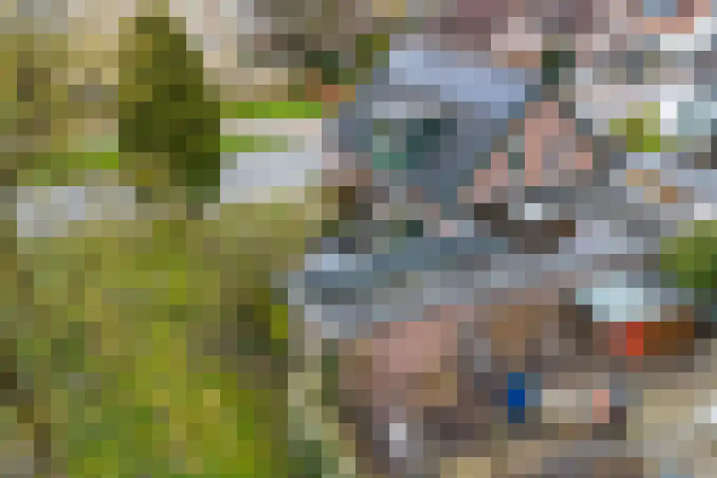 Hertenlaan 4 Apeldoorn thumbnail 24