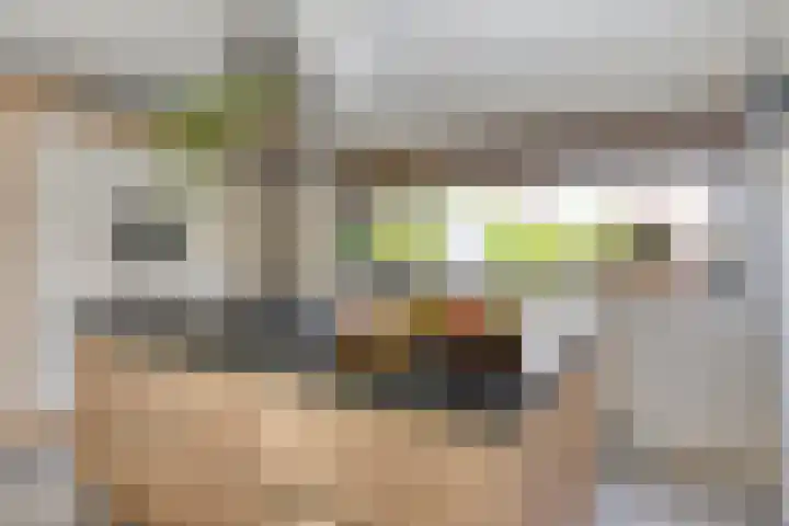 Hertenlaan 4 Honselersdijk thumbnail 11
