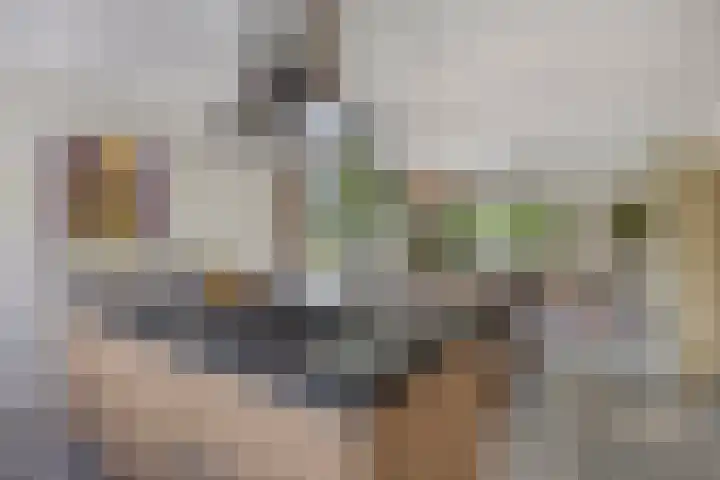 Hertenlaan 4 Honselersdijk thumbnail 12