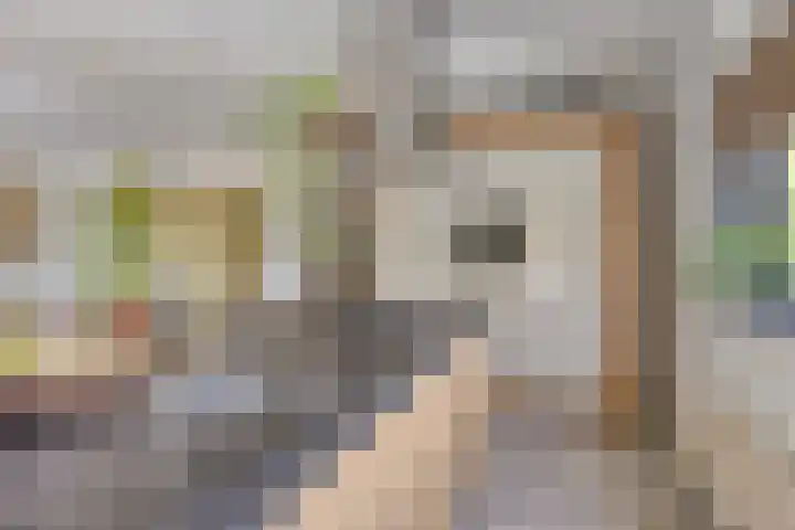 Hertenlaan 4 Honselersdijk thumbnail 13