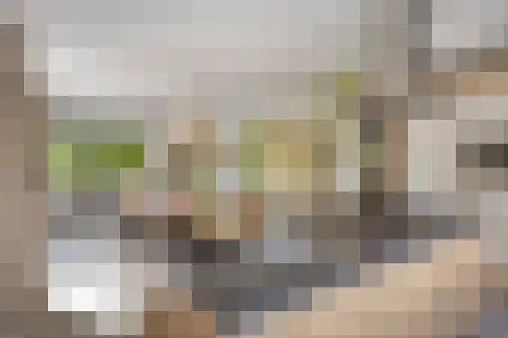 Hertenlaan 4 Honselersdijk thumbnail 14