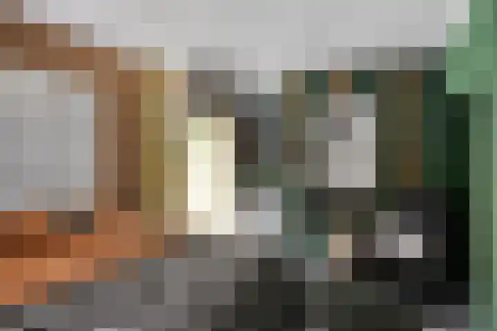Hertenlaan 4 Honselersdijk thumbnail 16