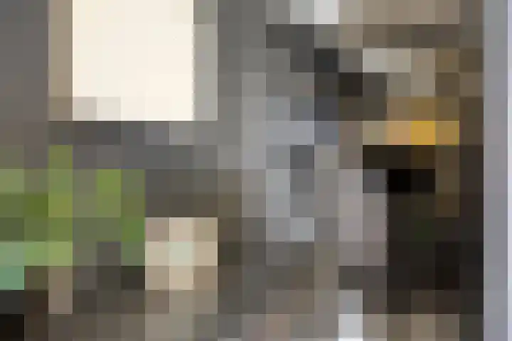 Hertenlaan 4 Honselersdijk thumbnail 19