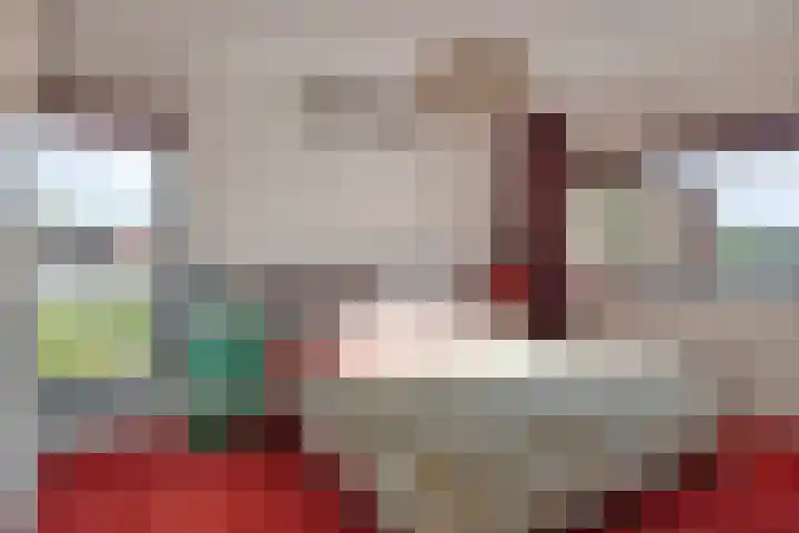 Hertenlaan 4 Honselersdijk thumbnail 22