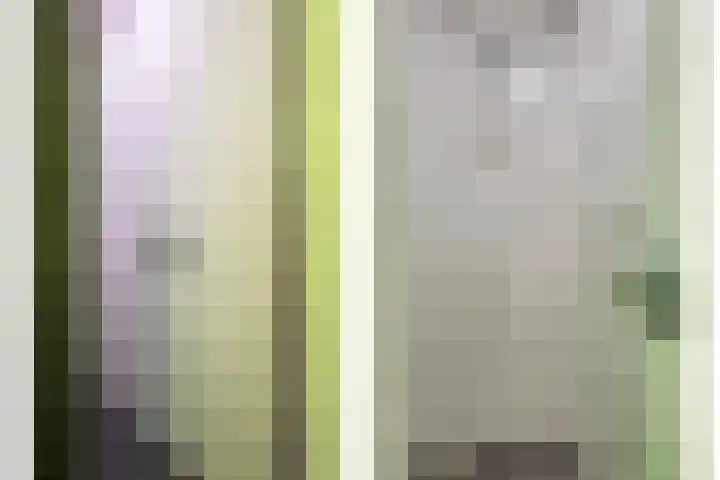 Hertenlaan 4 Honselersdijk thumbnail 28