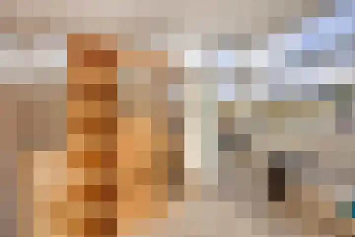 Hertenlaan 4 Honselersdijk thumbnail 31